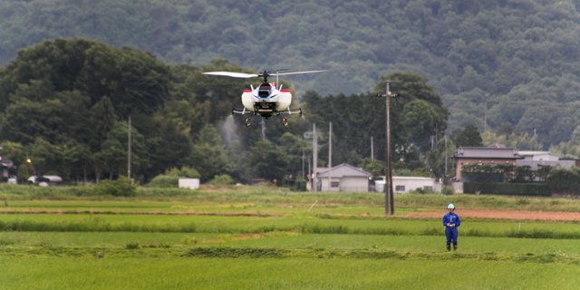 地域