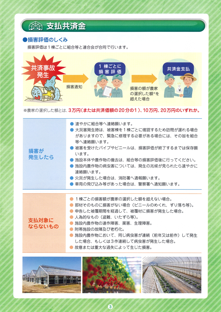 NOSAI/茨城県西農業共済組合(NOSAI茨西) 園芸施設共済 NOSAI/茨城県西農業共済組合(NOSAI茨西) 園芸施設共済