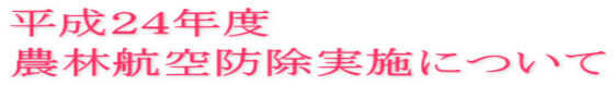 QSNx _эqh{ɂ 