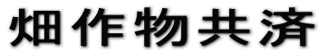 _앨