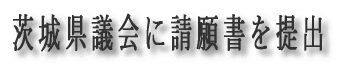 錧cɐ菑o