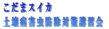 scT