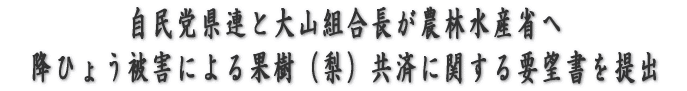 X@ՎJ 