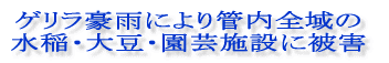 QONW{WJ 
