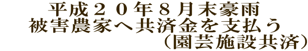 QONWJ Q_Ƃ֋ϋx @@@@@@@i|{݋ρj 