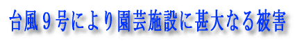 lwRv^[ɂ_Uz{i哤j