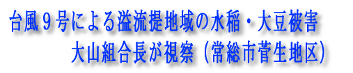 lwRv^[ɂ_Uz{i哤j