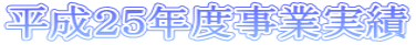 平成25年度事業実績