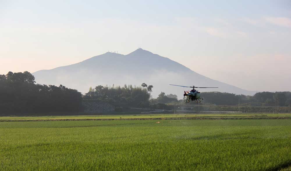 地域